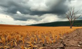 cambiamento climatico cosa non ci dicono davvero 1760206594 265x160