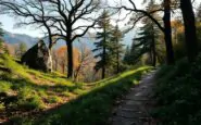esplorando le sparizioni nel parco nazionale cosa sappiamo finora 1760386321