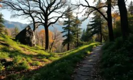 esplorando le sparizioni nel parco nazionale cosa sappiamo finora 1760386321 265x160