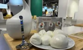 featured 2760486 265x160