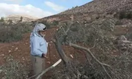 featured 2771727 265x160