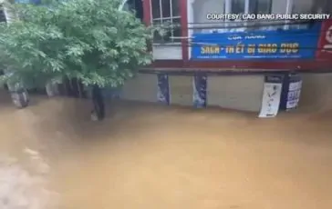 featured 2777041 364x230