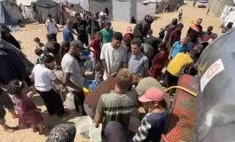 featured 2797054 265x160