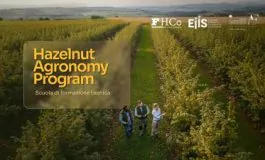 featured 2798909 265x160