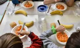 featured 2799979 265x160