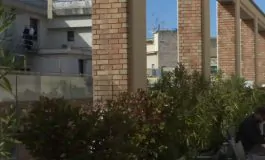 featured 2802795 265x160