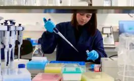 featured 2806090 265x160