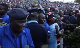 featured 2806787 265x160