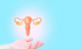 featured 2820535 265x160