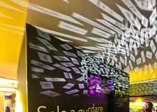 featured 2820845 225x160