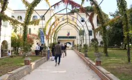 featured 2821569 265x160