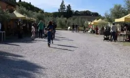 featured 2822279 265x160