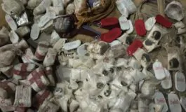 featured 2824803 265x160