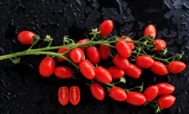 featured 2831673 265x160