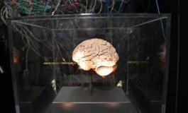 featured 2868737 265x160