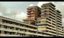 featured 2869125 265x160