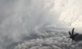 featured 2890949 265x160