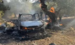 featured 2895398 265x160