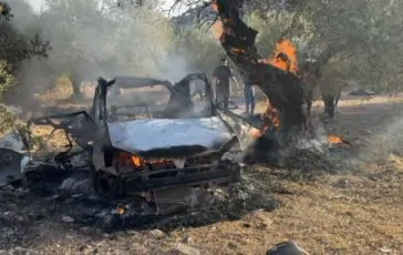 featured 2895398 364x230