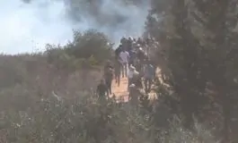 featured 2896596 265x160