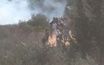 featured 2896596 364x230