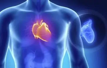 featured 2897269 364x230