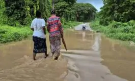 featured 2906378 265x160