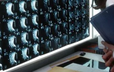 featured 2907717 364x230