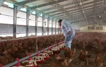 featured 2908348 364x230