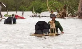 featured 2911641 265x160