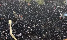 featured 2913268 265x160