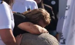 featured 2913555 265x160