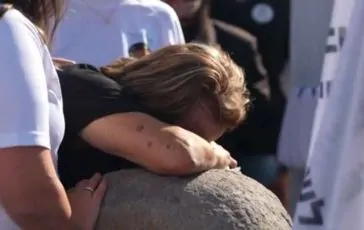 featured 2913555 364x230