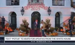 featured 2916361 265x160