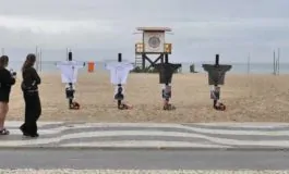 featured 2917911 265x160