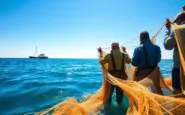 fermare la pesca a strascico in europa un appello per la protezione marina 1760317537