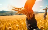 giornata mondiale dellalimentazione riflessioni sulla sicurezza alimentare e il futuro sostenibile 1760577577