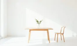 il minimalismo un approccio moderno allo stile di vita python 1759469909 265x160