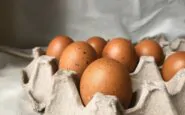 uova fresche richiamate salmonella