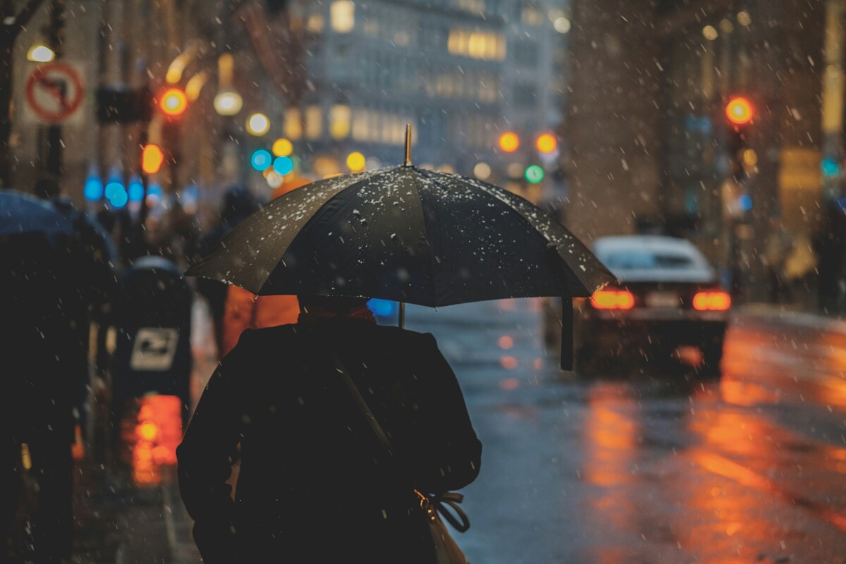 https://www.notizie.it/wp-content/uploads/2025/10/image-7642508b-6d4e-4183-83d0-62628d51ab65.jpg