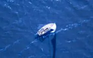flotilla parlamentari italiani stanno bene