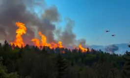 incendio in lombardia area boschiva in fiamme 1759823538 265x160