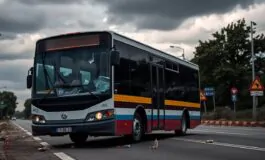 la morte di un autista durante unaggressione ai tifosi del pistoia basket 1761112901 265x160
