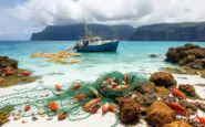 lurgenza di abolire la pesca a strascico nei parchi marini protetti in europa 1760308237