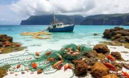 lurgenza di abolire la pesca a strascico nei parchi marini protetti in europa 1760308237 265x160