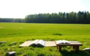 mindfulness come migliorare il tuo benessere quotidiano python 1759622903
