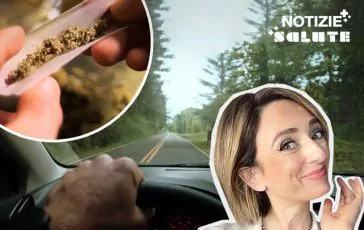 brightcove poster 3021625 364x230