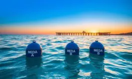 dieci anni di successi della stazione zoologica anton dohrn nel mar tirreno centrale 1763265177 265x160