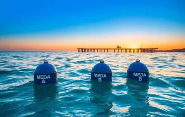dieci anni di successi della stazione zoologica anton dohrn nel mar tirreno centrale 1763265177 364x230