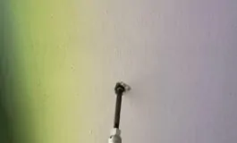 divis resine 265x160